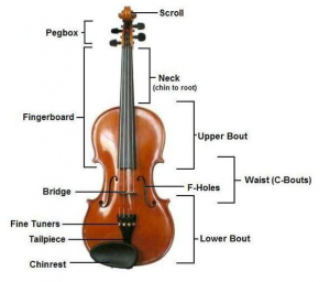 The Violin: How to organise its practising
