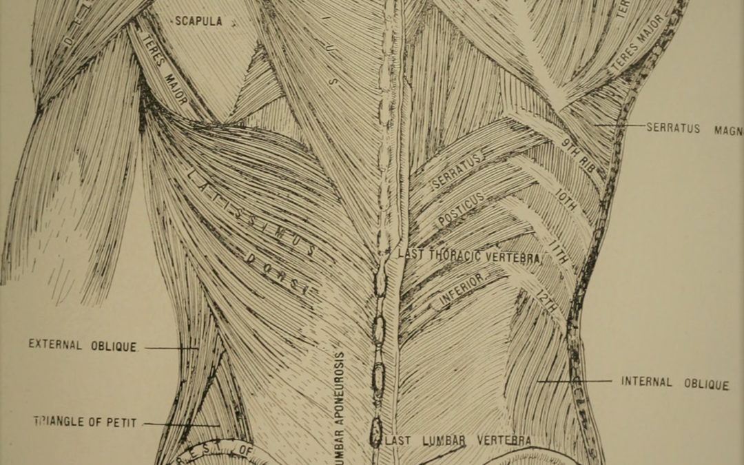 Alexander Technique – Learn how to correct your body posture